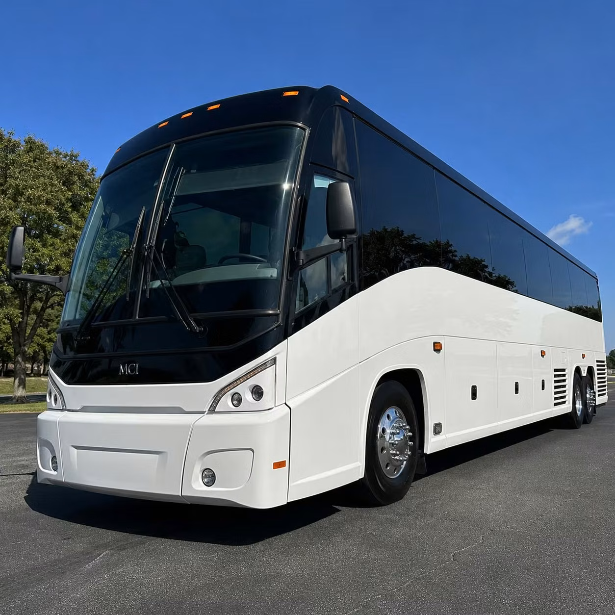 rosemeadcharterbuscompany com is the go to for multi agency and large scale government transportation in rosemead